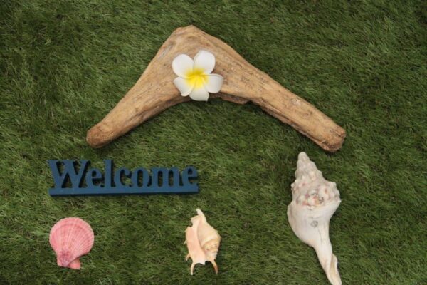 生花や緑を添えて独特な形状を楽しみたい - 画像 (3)
