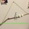 ちょっと吊るすだけで カフェのような見栄えがします。 - 画像 (5)