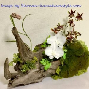 モスを加えて豪華にインテリア