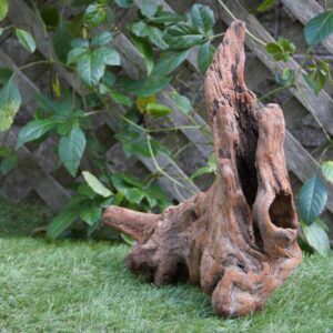 流木花器におすすめします。可憐な花、ドライフラワーを添えて力強さも表現する
