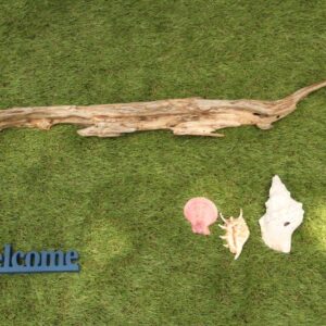 アクセントとなっているのが 流木です
