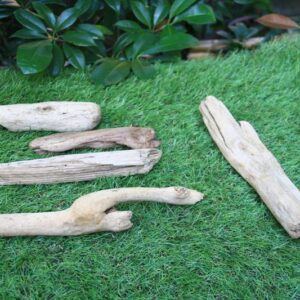 流木アート入門セットB（５本セット）
