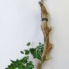 緑を添えて立てかけると部屋全体がクールに引締まります - 画像 (6)