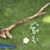 もちろんアクアリウムもＯＫ、 爬虫類の隠れ家にもぴったり！ - 画像 (2)