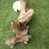 もちろんアクアリウムもＯＫ、 爬虫類の隠れ家にもぴったり！ - 画像 (4)