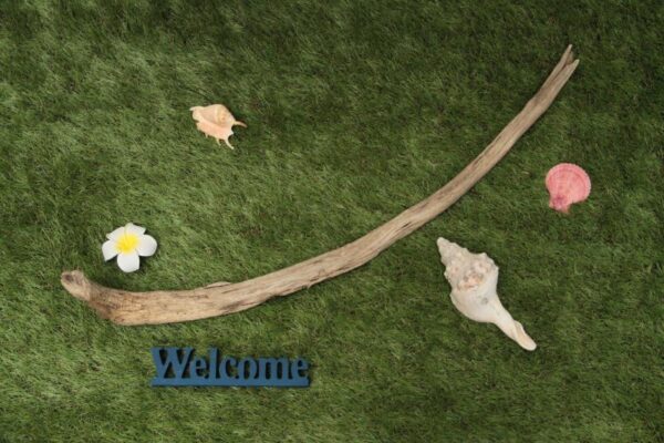 形の良い流木でフェイクグリーンやオーナメント - 画像 (2)