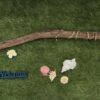 お部屋にいながらにして 波の音が聞こえてきそう - 画像 (2)