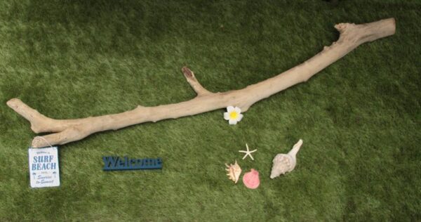 色々なアイテムを吊る下げたり、 飾って海を感じてはいかが？ - 画像 (2)