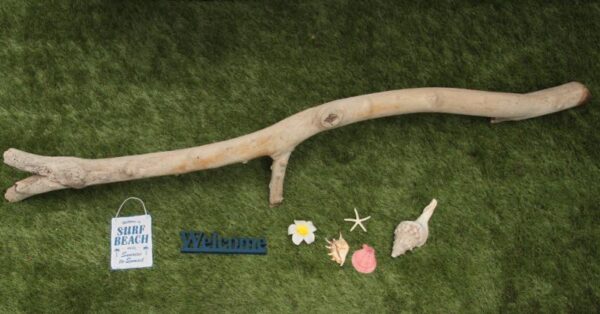 色々なアイテムを吊る下げたり、 飾って海を感じてはいかが？ - 画像 (3)