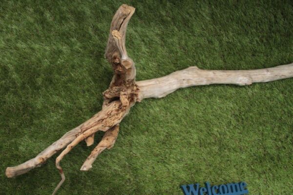 汐の匂いを感じ取るところからが スタートだ - 画像 (3)