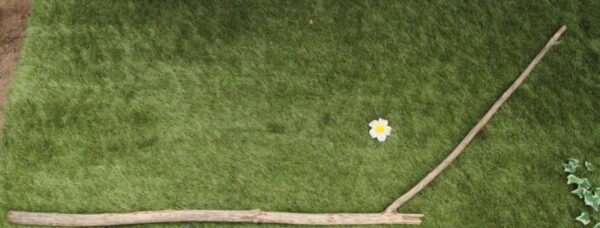 大きな波を幾度となく 乗り越えてきた - 画像 (2)