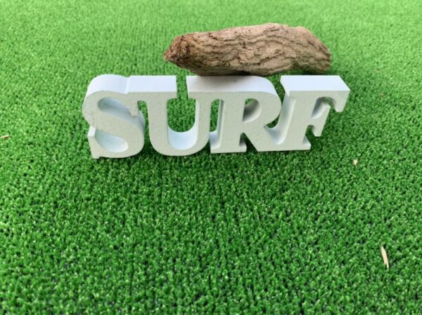苔盆栽の入門として　棚やテーブルに自然な印象で - 画像 (4)