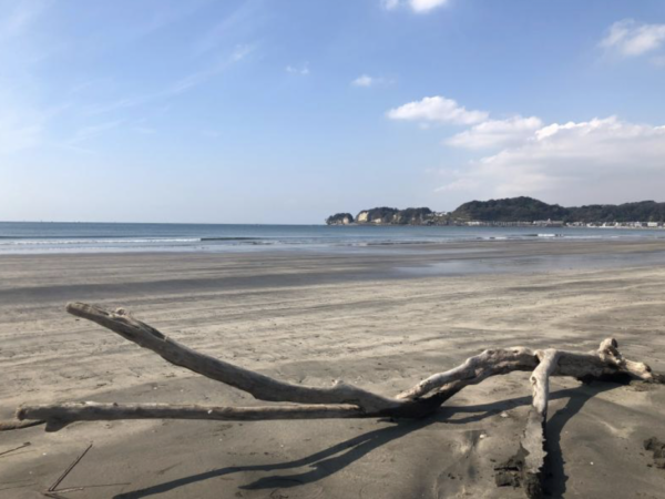 【同様な形を処理中】 お店にオフィスに湘南の思い出を - 画像 (2)