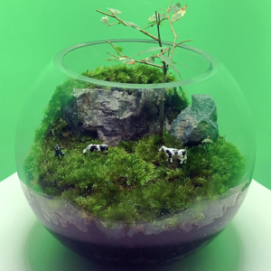 [苔テラリウム]山間部の酪農
