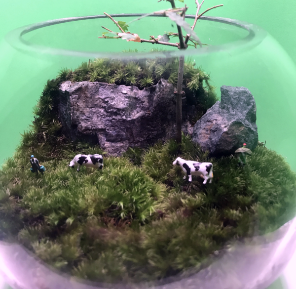 [苔テラリウム]山間部の酪農 - 画像 (2)