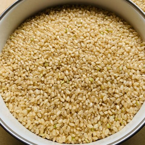 令和6年新米）京都こだわり玄米「キヌヒカリ」5kg（栽培期間中農薬不 
