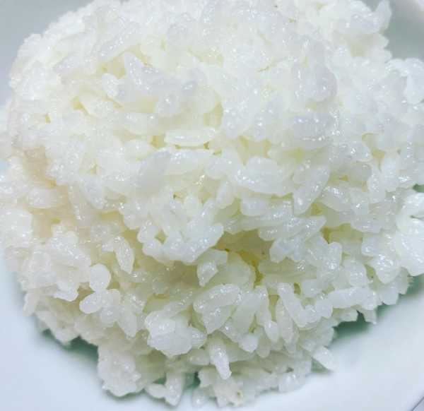 （令和6年新米）京都こだわりのお米「キヌヒカリ」５kg（栽培期間中農薬不使用及び減農薬）※税込送料のみ - 画像 (13)