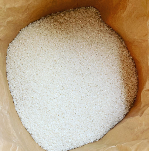（令和6年新米）京都こだわりのお米「キヌヒカリ」５kg（栽培期間中農薬不使用及び減農薬）※税込送料のみ - 画像 (12)